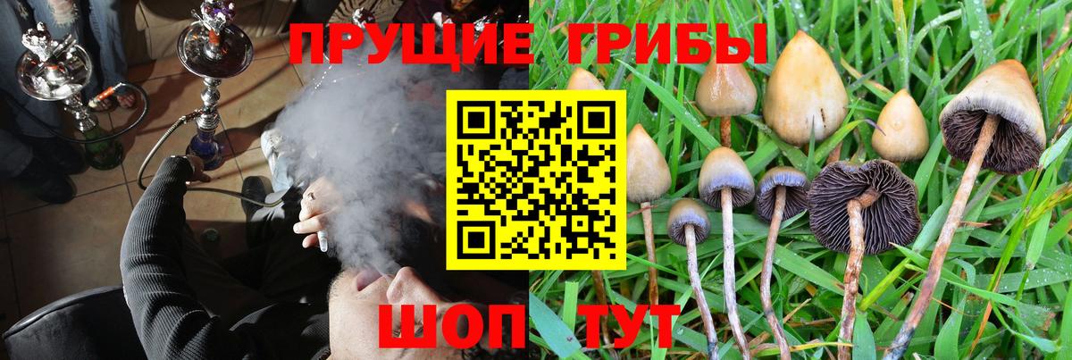 Галлюциногенные грибы Magic Shrooms Барнаул