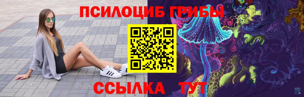 Псилоцибиновые грибы мицелий  Вход с VPN  Барнаул 